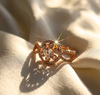 Adorable Diamond Round Cut Ring