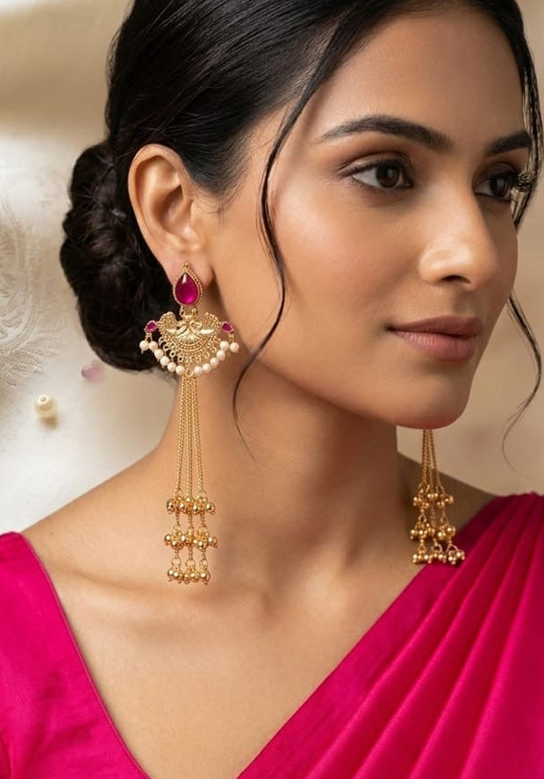 Stunning Kashmiri Long Earrings