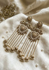 Long Kashmiri Stylish Earrings