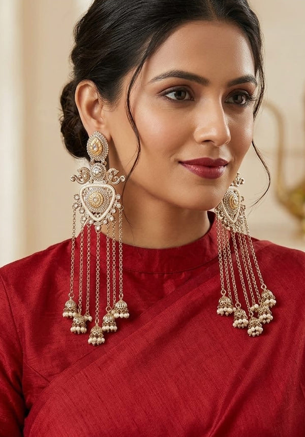 Long Kashmiri Stylish Earrings