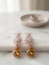 Traditional Crystal Stone Earring