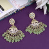 Karigari Jhumkas Style Earrings