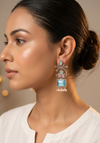 Classic Glow Silver Oxidized Earrings