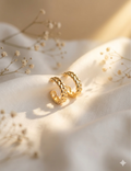 Stylish Hoop Earrings