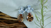 Beautiful Stones Western Earrings