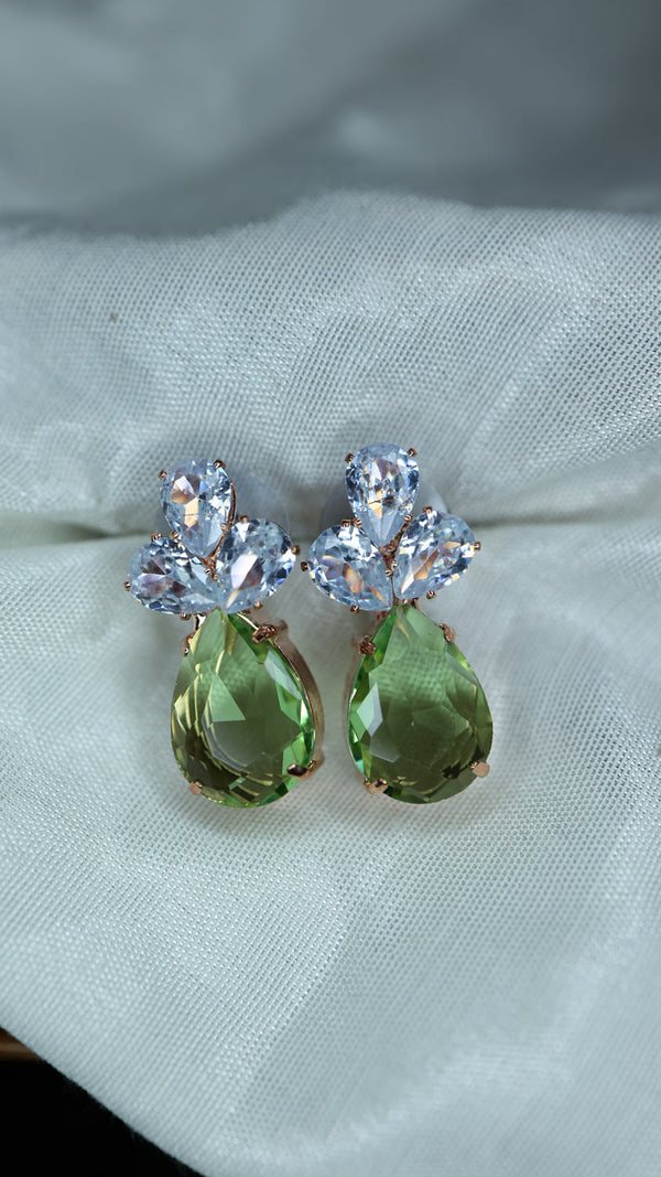 Beautiful Stones Western Earrings