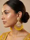 Karigari Jhumkas Style Earrings