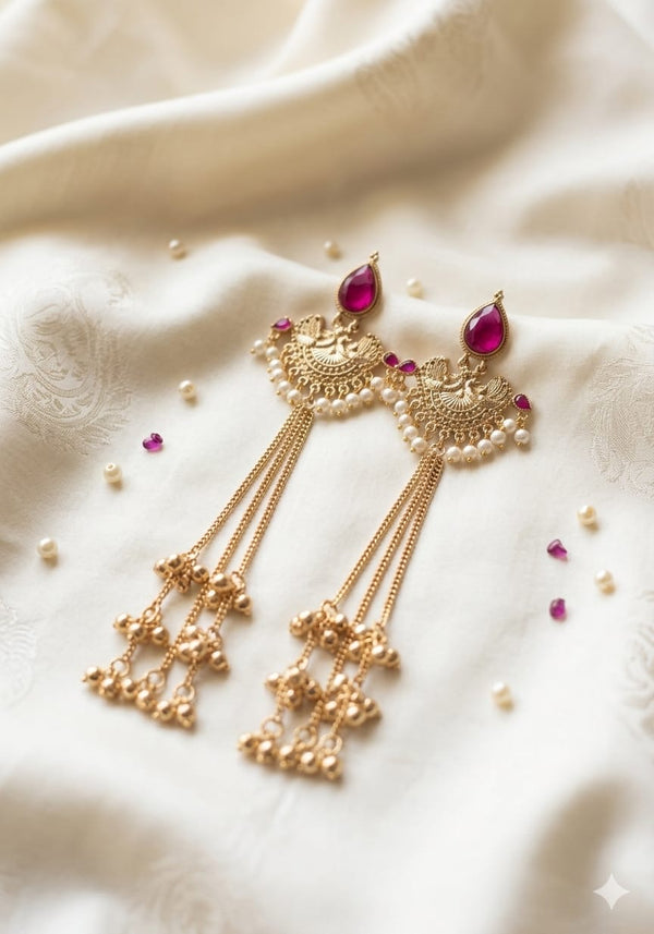 Stunning Kashmiri Long Earrings