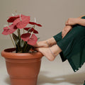 Silver Plated Flower Design Anklet