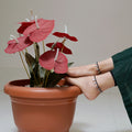 Antique Silver-Plated Leaf Style Anklet